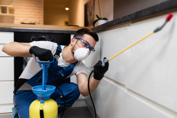 Best Emergency Pest Control  in East Greenville, PA