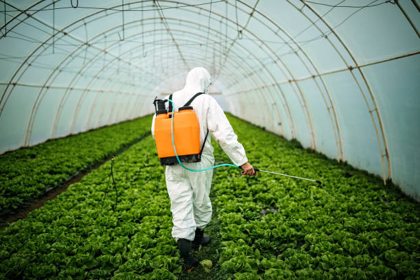Best Affordable Pest Control Services  in East Greenville, PA