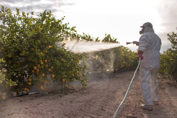 Pest Control Cost in East Greenville, PA