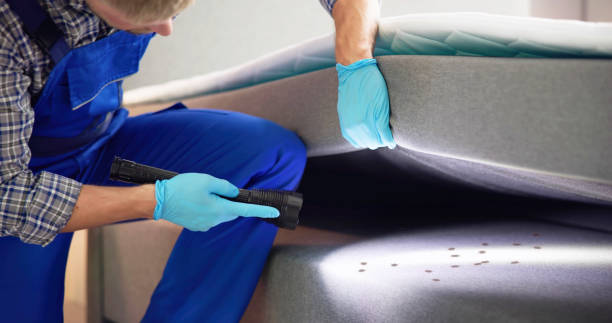 Best Mosquito Control Services  in East Greenville, PA
