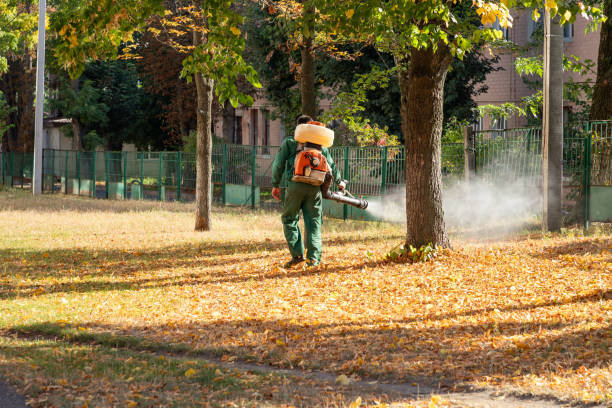 Best Best Pest Control Companies  in East Greenville, PA