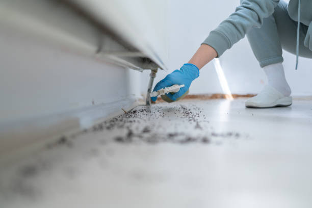 Best Pest Prevention Services  in East Greenville, PA